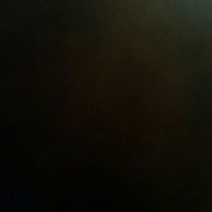 Meet your Posher, Heidi